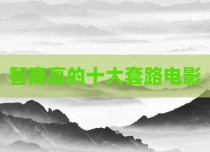 智商高的十大套路电影