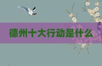 德州十大行动是什么