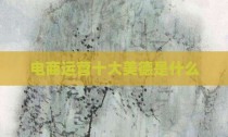 电商运营十大美德是什么
