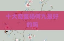 十大奇冤杨何九是好的吗