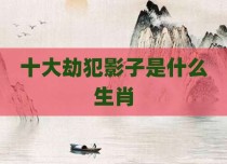 十大劫犯影子是什么生肖