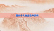国内十大房企是外资吗