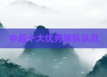 中超十大优秀球队队员