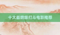十大最燃爆打斗电影推荐