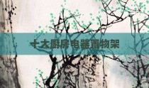 十大厨房电器置物架