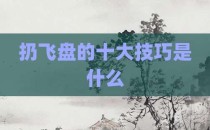 扔飞盘的十大技巧是什么
