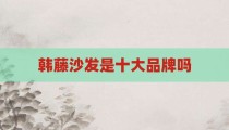 韩藤沙发是十大品牌吗