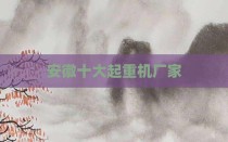 安徽十大起重机厂家