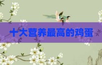 十大营养最高的鸡蛋