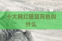 十大网红猫蓝灰色叫什么