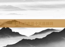 云锦绘墙布是十大品牌吗