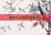 株洲十大湖泊名称是什么
