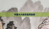 中国十大胎压监测品牌