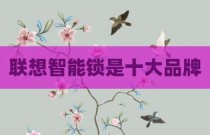 联想智能锁是十大品牌
