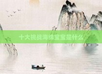 十大挑战海绵宝宝是什么