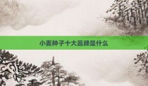 小麦种子十大品牌是什么