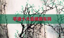 宇通十大品牌房车吗