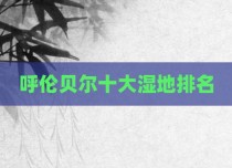 呼伦贝尔十大湿地排名