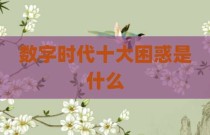 数字时代十大困惑是什么