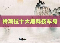 特斯拉十大黑科技车身