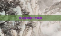 什么是中国十大风险
