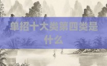 单招十大类第四类是什么