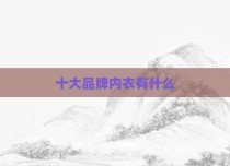 十大品牌内衣有什么