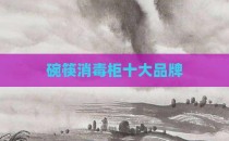 碗筷消毒柜十大品牌