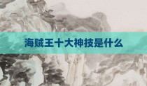 海贼王十大神技是什么