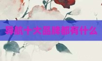 导航十大品牌都有什么