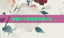中国十大重罪名字是什么