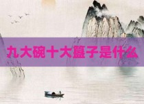 九大碗十大簋子是什么
