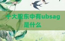 十大股东中有ubsag是什么