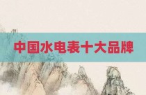 中国水电表十大品牌