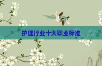护理行业十大职业标准