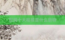 世间十大福报是什么动物