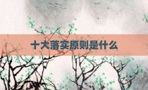 十大落实原则是什么