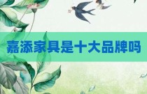 嘉添家具是十大品牌吗