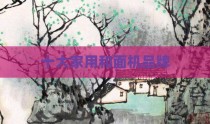十大家用和面机品牌