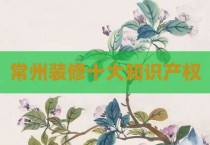常州装修十大知识产权