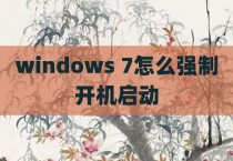 windows 7怎么强制开机启动