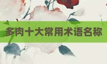 多肉十大常用术语名称
