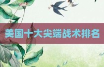 美国十大尖端战术排名