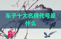 车子十大名牌代号是什么