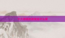 十大奇葩的愿望是什么梗