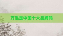 万泓是中国十大品牌吗