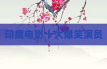 印度电影十大爆笑演员