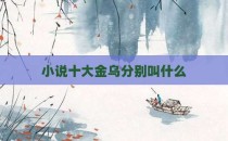 小说十大金乌分别叫什么