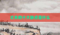 丈夫的十大缺点是什么