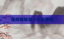 强辉磁砖是十大品牌吗